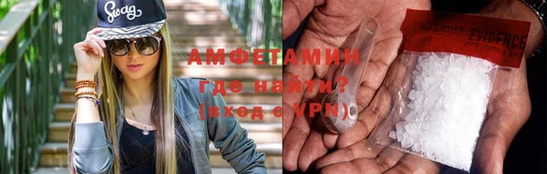 прущие грибы Алзамай