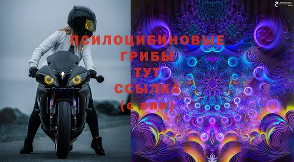 каннабис Абаза