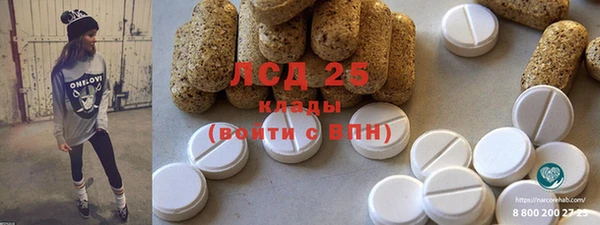 прущие грибы Алзамай