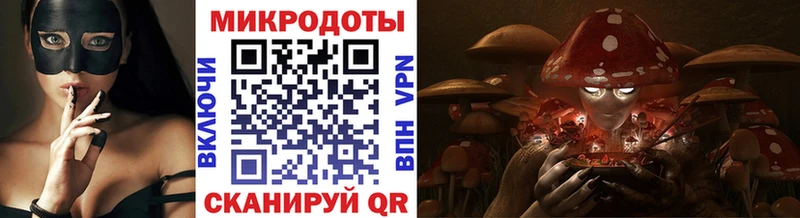 Псилоцибиновые грибы Cubensis  Ачхой-Мартан 